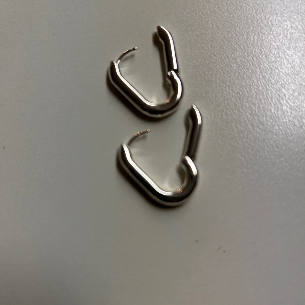 Carabiner medium hoop earrings